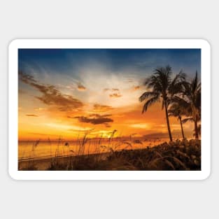 Bonita Beach Bright Sunset Sticker